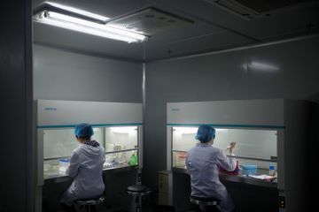 華大基因, 檢測試劑, 假陽性, 香港財經時報HKBT