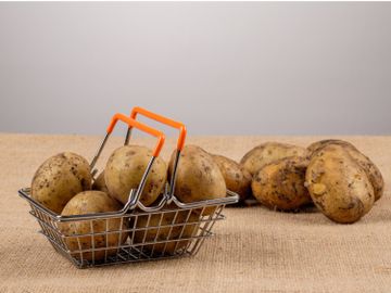 馬鈴薯有毒-食物安全中心-配糖生物鹼-薯仔發芽-含天然毒素食物-食用建議-網民分享-香港財經時報HKBT-
