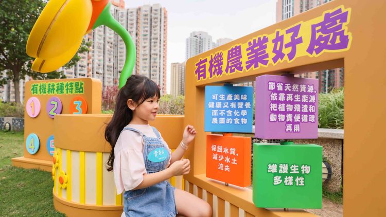 香港好去處2023, 親子好去處, 親子活動, 青衣城戶外全新打卡位, 星光稻草園, 巨型雛菊, 綠色迷宮, 香港財經時報