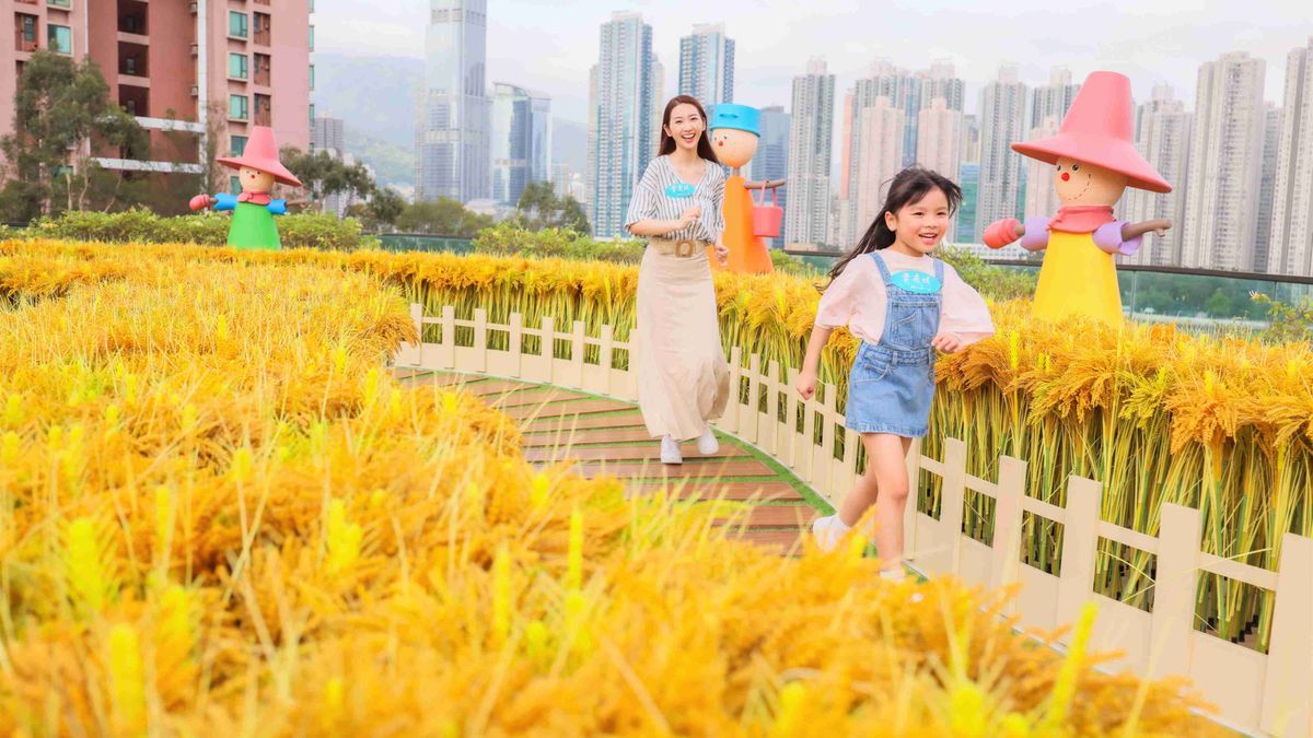 香港好去處2023, 親子好去處, 親子活動, 青衣城戶外全新打卡位, 星光稻草園, 巨型雛菊, 綠色迷宮, 香港財經時報