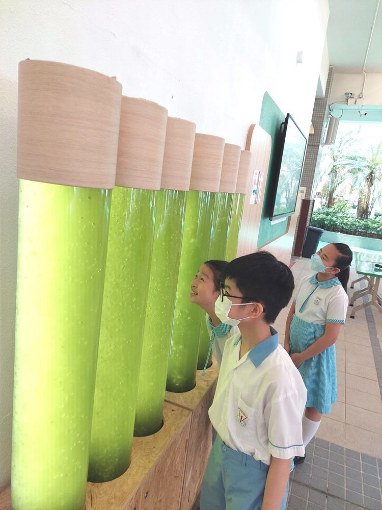 親子教育, 元朗光明英來學校引入微藻反應器及無土綠牆淨化校園空氣, 香港財經時報