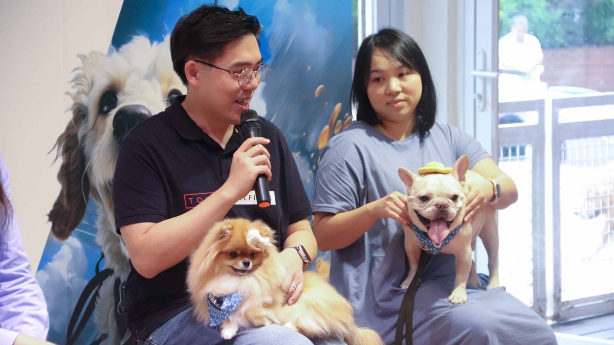 調查, 超過7成受訪狗主最擔心狗走失意外受傷, 逾6成沒買寵物保險, 香港財經時報