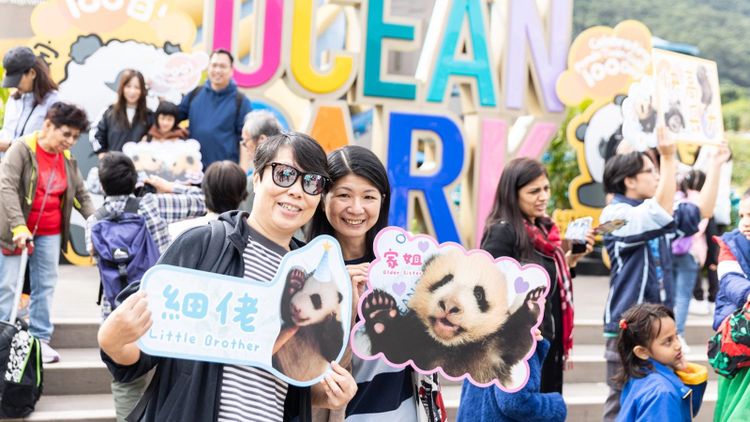海洋公園, 大熊貓, 雙胞胎, 百日慶典, hkbt, 香港財經時報