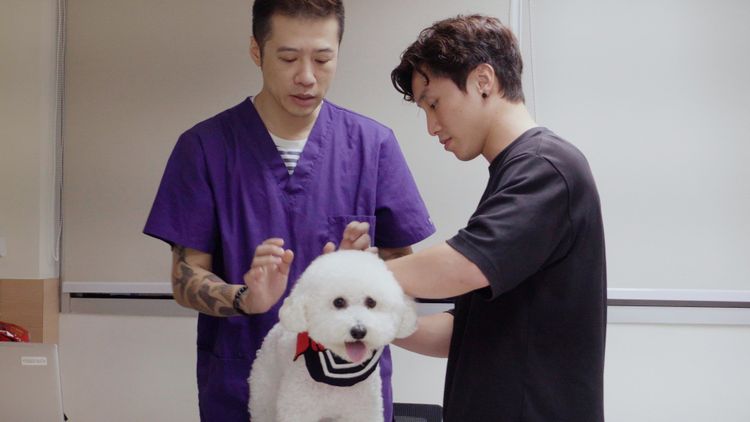 他表示自領養 Carter後，他深深體會到照顧小動物並不是一件簡單的事情