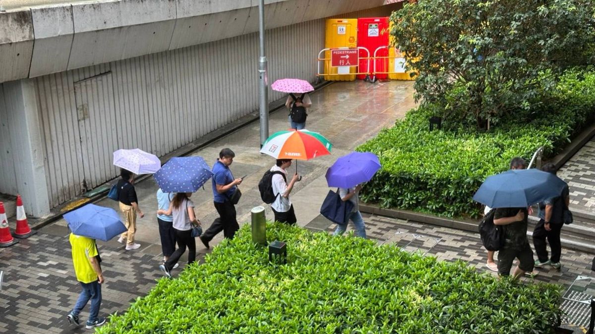 香我天文台, 韋帕, hkbt, 香港財經時報