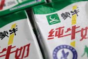 蒙牛等乳業股有追捧