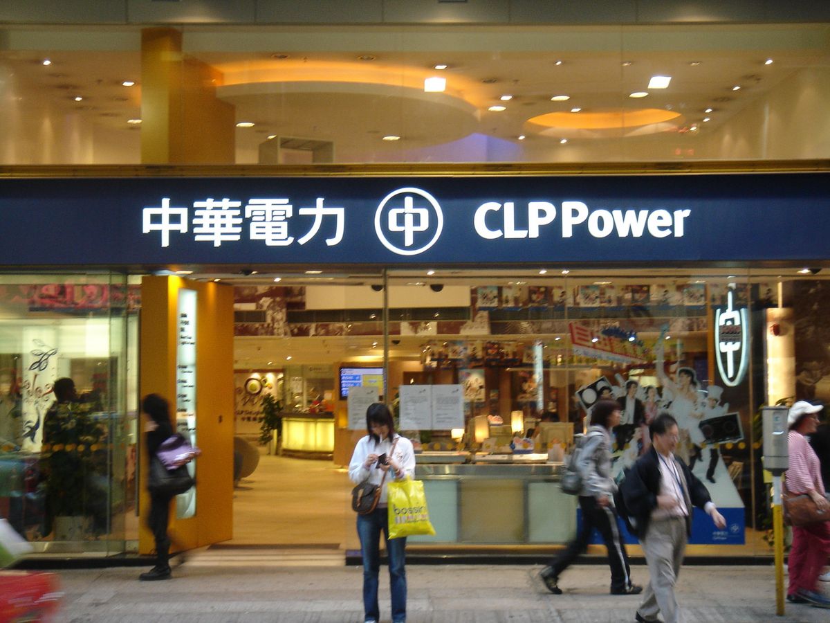 中電控股