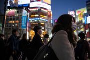 世界旅遊組織：2020年全球旅遊業將遭受毀滅性打擊