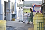 武漢 路透