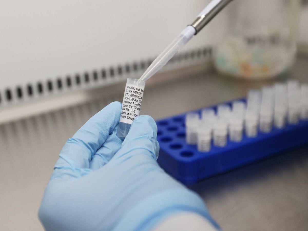 康希諾生物科創板IPO成功過會 H股近期頻頻獲外資增持