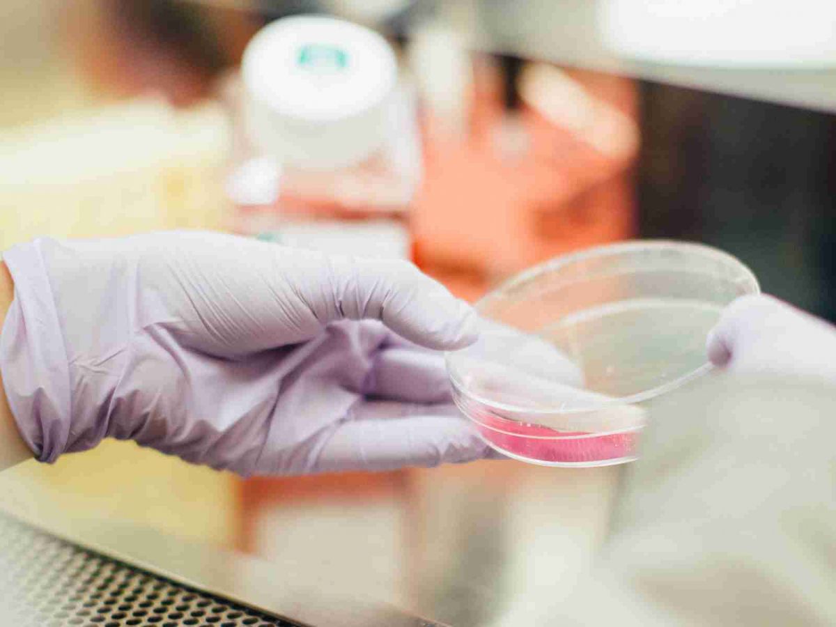  永泰生物開簿在即 細胞治療「獨角獸」迎生物醫藥板塊上漲風口