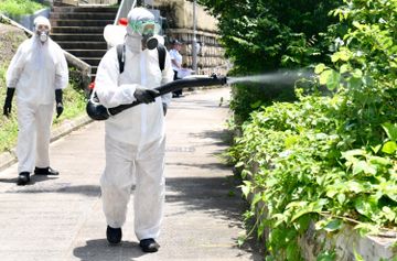 新冠肺炎 台灣 傳染病 坦布蘇病毒 TembusuVirus 中國 馬來西亞 泰國