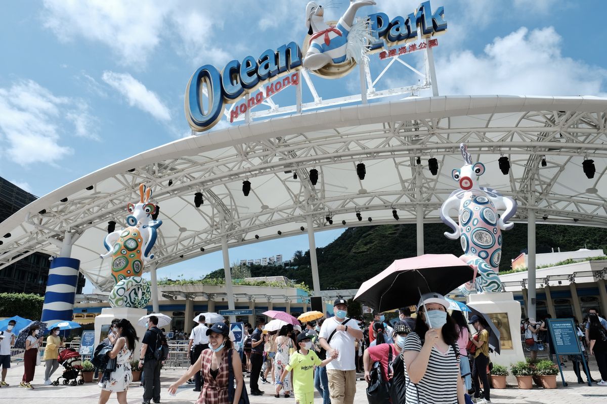海洋公園迎40年最嚴峻挑戰｜劉鳴煒：上下一心重新定位｜新館七一開親親狐獴象龜