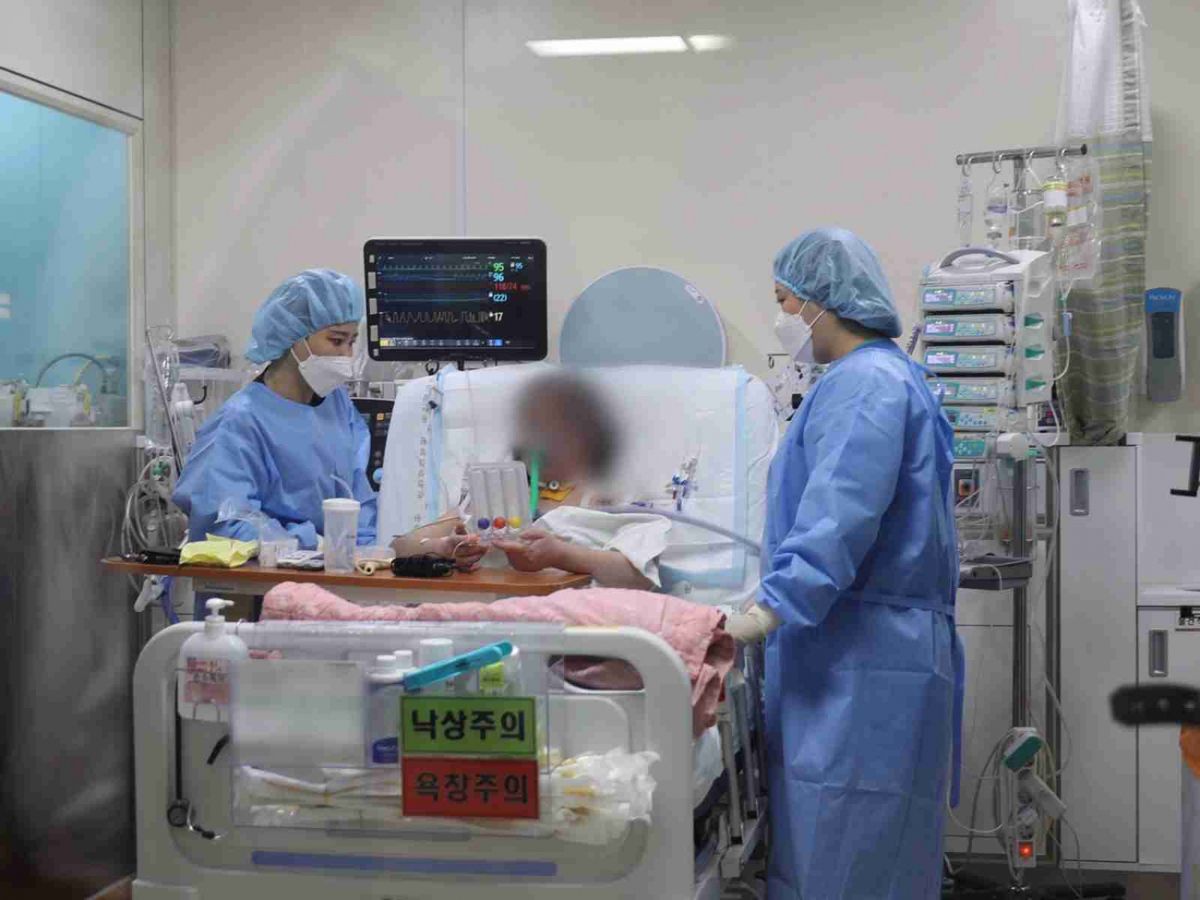 微創醫療預期心脈醫療上半年歸母淨利潤同比增長38.8%至44.68%