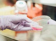 藥明生物僅3年就染藍｜石藥、中國生物製藥3隻藍籌醫藥股 誰更勝一籌？