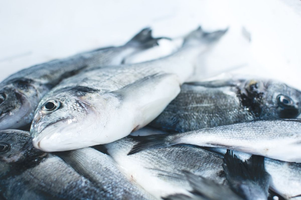 不少人都嘗試過食魚時魚骨鯁喉，但大家會選擇吞落肚還是吐出來？廣西桂林一名女子魚骨卡喉以吞飯的方式了事，結果後發現魚骨刺穿了胃壁扎破肝臟。