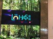日出康城發展最耐潛力最大！區內樓盤被看高一線！港鐵管理卻拖後腿？