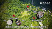 環保團體「綠惜地球」近日視察大欖郊野公園發現灰色鉛珠遍地可尋。熱帶氣旋「海高斯」後有更多射擊廢物落入引水道，污染食水。（圖片：綠惜地球）