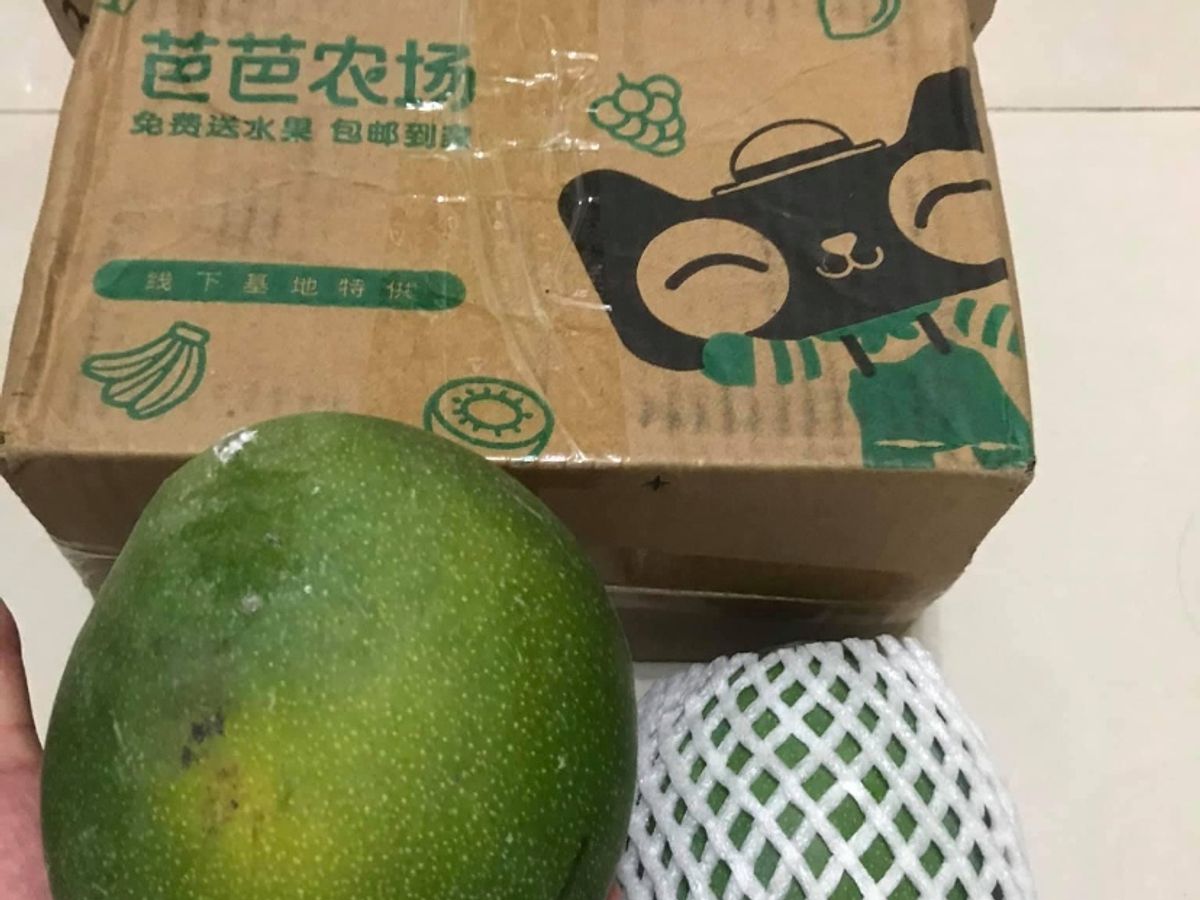 有網民分享自己網上玩手機遊戲的體驗，稱網上成功種植水果後，可於現實生活收到真水果！