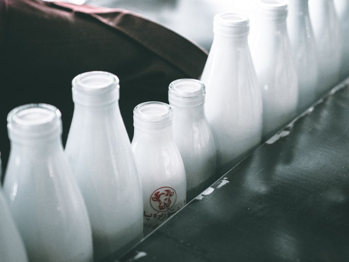 飲牛奶會致癌一直是迷思。不少學者致力研究乳製品致癌性。曾有實驗指奶類產品會令婦女患增乳腺癌；但亦有研究反映每日２杯牛奶即可降低大腸癌風險。