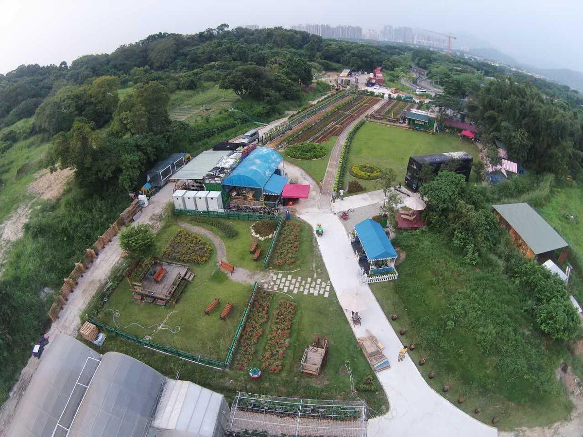 唔使去南丫島！香港7個親子農莊動物園推介！熱門448農莊