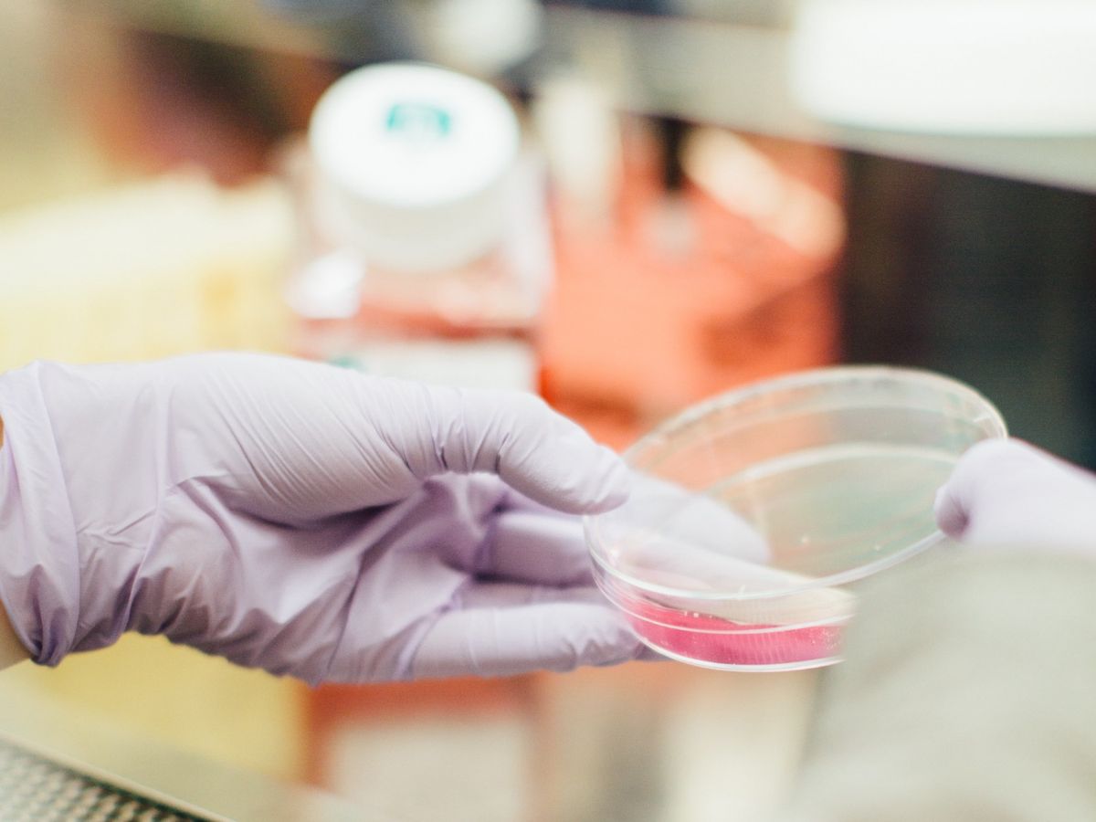 癌症是甚麼？你對惡性腫瘤有誤解嗎？Cancer常見的8大迷思｜醫護解碼