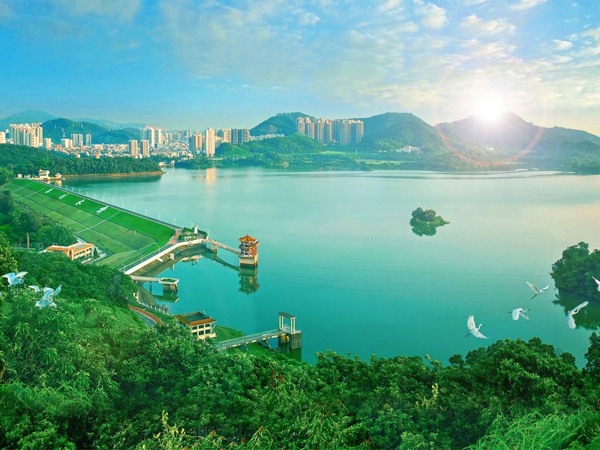 粵海投資：已簽訂未來三年東江水協議 大摩：股價70-80%機率上升 美銀：未來派息穩定增加
