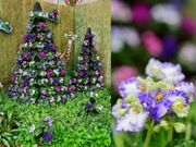 免費親子好去處｜12.1起香港公園睇超過300棵非洲紫羅蘭｜期間限定