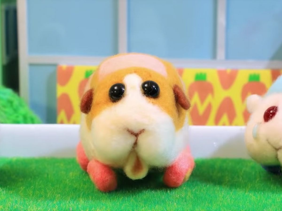 《PUI PUI 天竺鼠車車》日本定格動畫！3分鐘一集出到第3集吸20萬Twitter粉絲