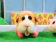 《PUI PUI 天竺鼠車車》日本定格動畫！3分鐘一集出到第3集吸20萬Twitter粉絲