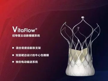 心通醫療-微創醫療-分拆-上市-新股-IPO-心臟瓣膜疾病-香港財經時報HKBT