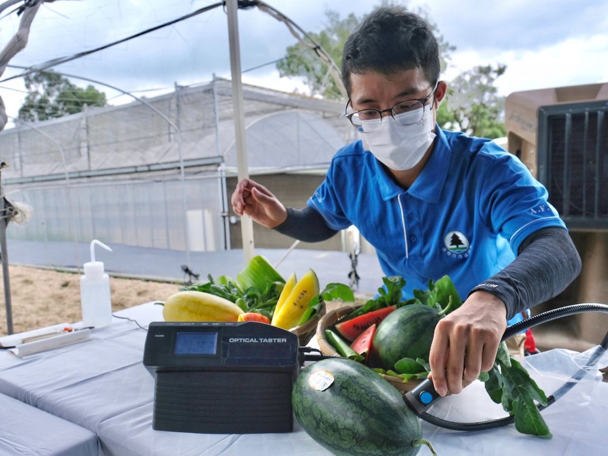 漁農自然護理署請林務主任頂薪達11萬元究竟要做乜？入職及申請資格一覽