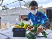 漁農自然護理署請林務主任頂薪達11萬元究竟要做乜？入職及申請資格一覽