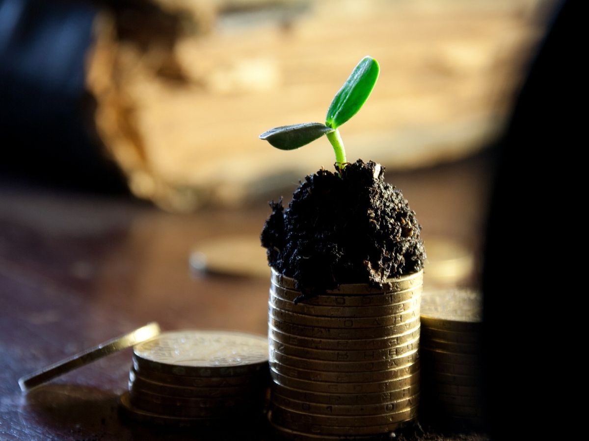 理財方法｜成功創富先要呃埋自己？月入8千但月儲1萬全靠用一個方法｜龔成教室