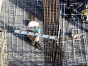 新股IPO｜盈滙企業一手2828元 工程承建行業分析 抽新股短炒長揸策略