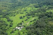 贊成大欖郊野公園邊陲起樓-百分之二綠化地已夠發展20年-行山受惠的人一定少過3萬家庭安居樂業