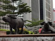 十大藍籌股升幅榜排名-抽出2021年藍籌股王-中信股份-中石油-中國石油股份-石藥集團-香港財經時報-HKBT