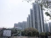 上嵐銷情欠佳無阻新地推天水圍新盤！嘉湖山莊400餘萬起仍屬上車天堂｜老樓周記