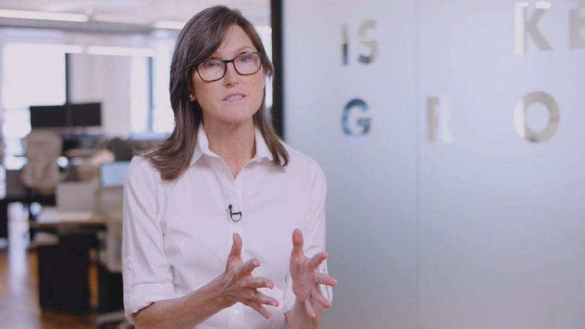 科技女股神Cathie Wood最新部署｜料中概股維持低估值｜近期瞄準呢個創新行業