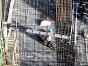 漁護署招聘｜二級監工頂薪27K、中三程度有建築工程經驗可申請公務員