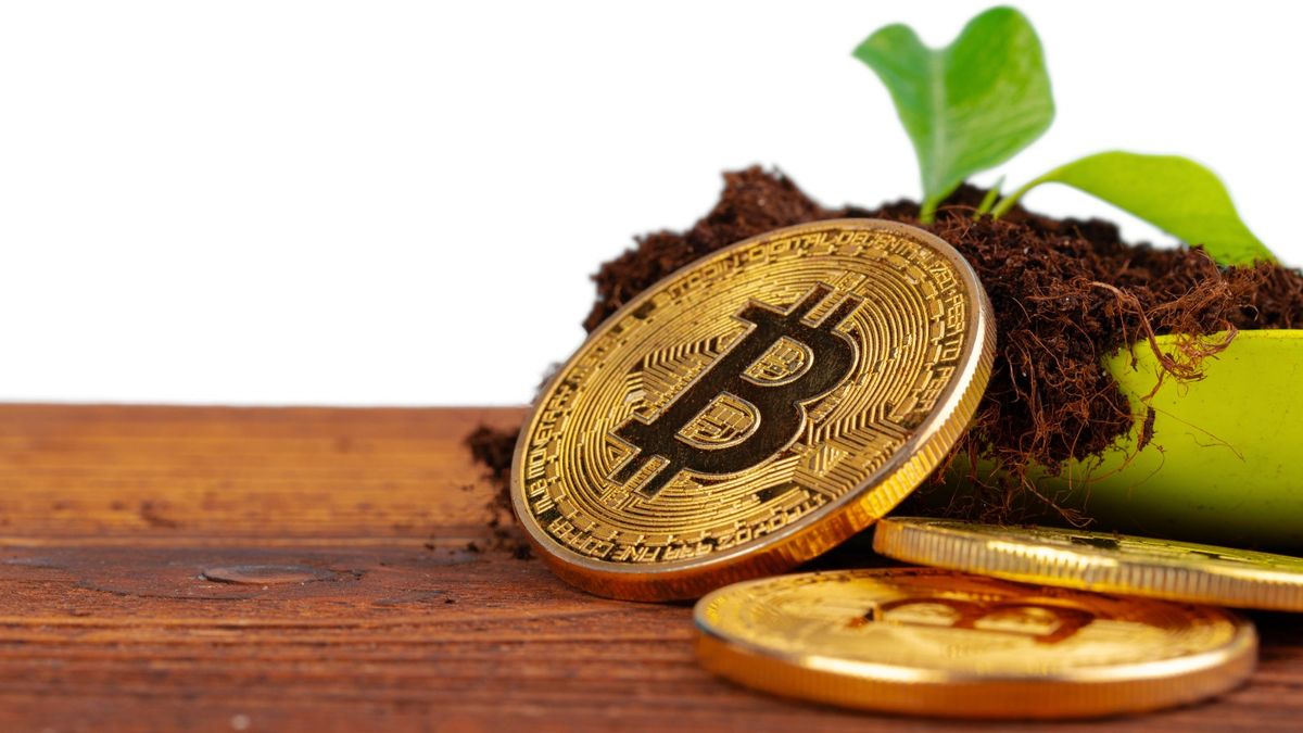 比特幣重上5萬｜花旗插手Bitcoin期貨｜分析師預年尾破10萬｜附5大比特幣投資策略