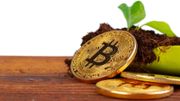 比特幣重上5萬｜花旗插手Bitcoin期貨｜分析師預年尾破10萬｜附5大比特幣投資策略
