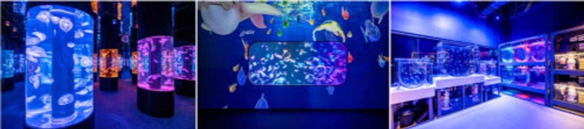 全港首個海洋探索體驗館　現已登陸荃灣 Plaza 88