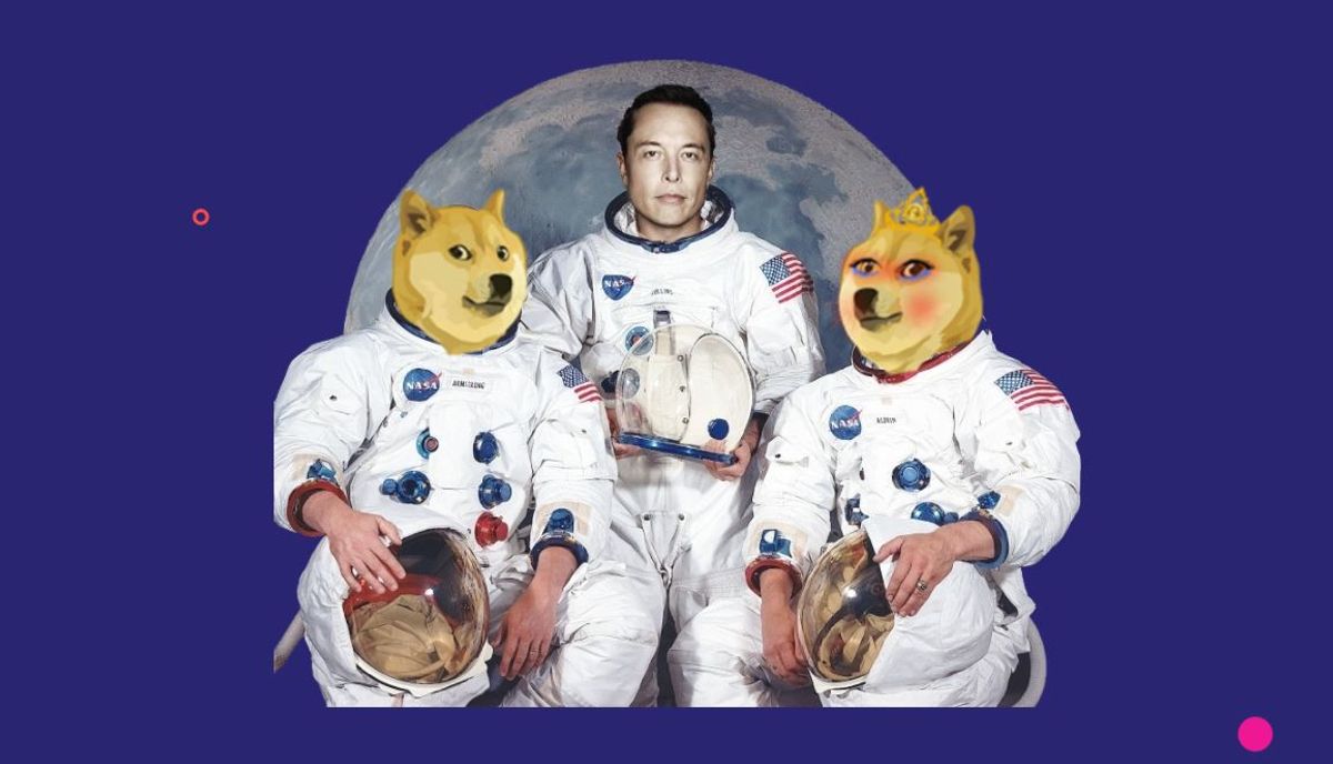 狗狗幣老婆Wifedoge｜今年7月誕生的新加密貨幣｜高峰單日升3,300%｜背景＋炒賣須知