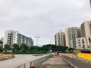 白石角鐵路站-白石角豪宅-施政報告-私樓-新盤-配套-地產代理-學者-預測樓價