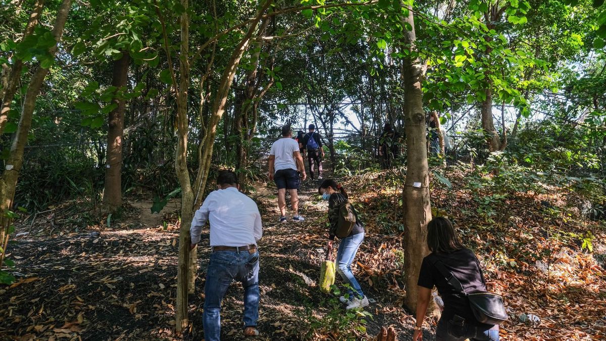 漁護署招聘農林助理員｜公務員職系起薪20K｜毋須大學畢業、但要 1 項經驗