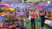 年宵市場2022｜15個花市明年1.26起舉行！繼續無乾貨快餐攤位
