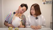 移民英國日常支出｜YouTuber春爸春媽分享｜至少每月14,345港元｜包租水電上網｜電費每月要成千