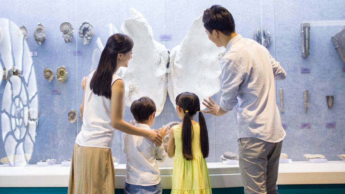 理財個案｜40歲夫婦要供樓又要供書教學！想穩陣投資部署退休｜龔成教室