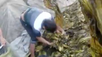 老壇酸菜, 土坑酸菜, 央視, 本港3款酸菜即食麵, 食安中心籲停止食用, HKBT, 香港財經時報